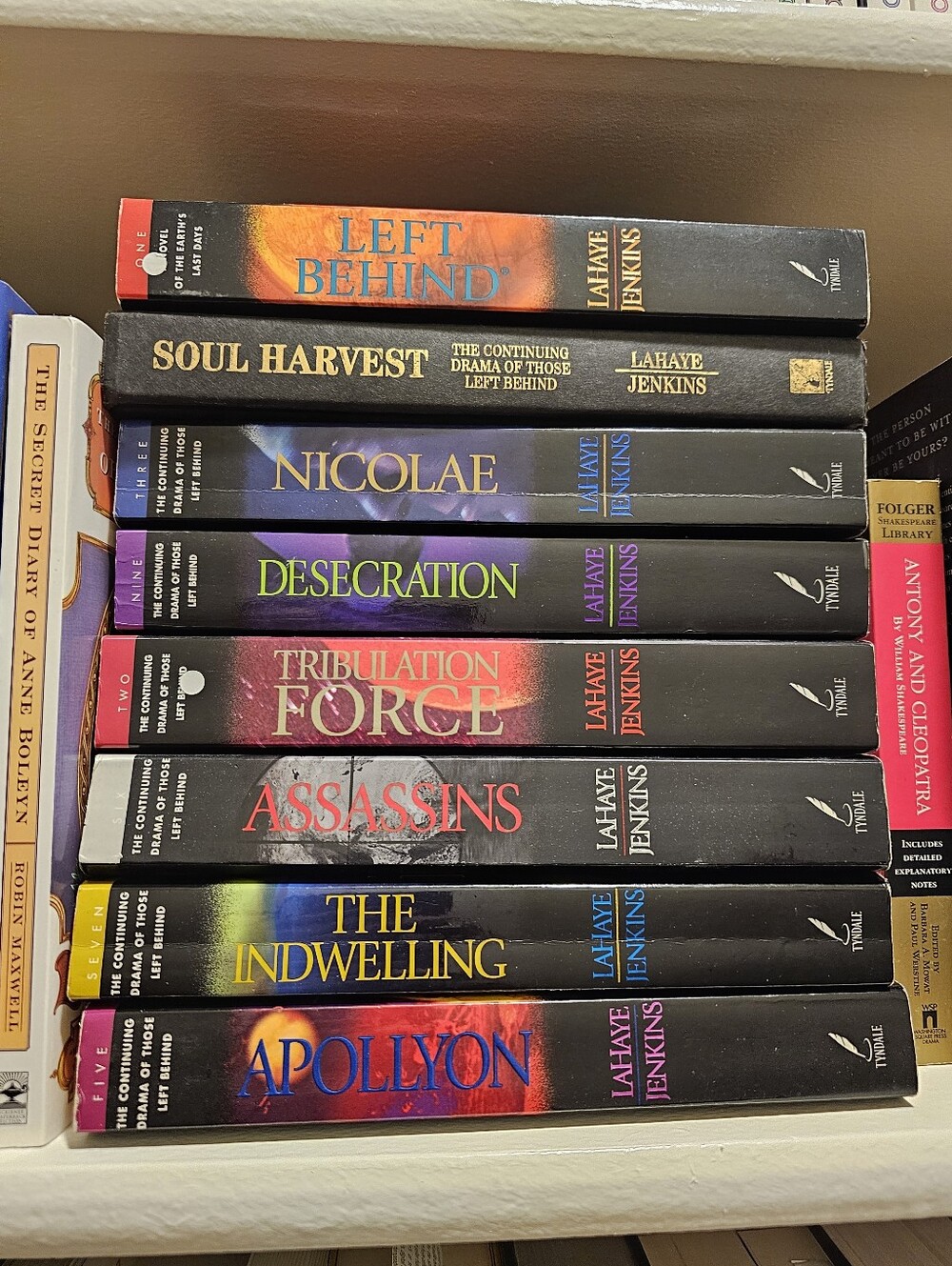 Left Behind Series And Other Books - Black with Multi-Color Accents